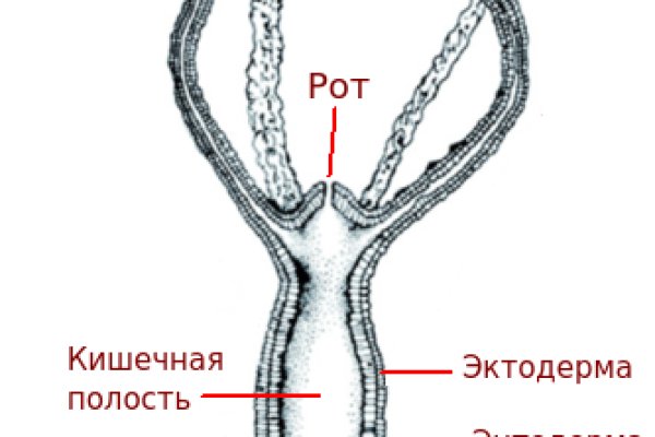 Официальная тор ссылка кракен сайта