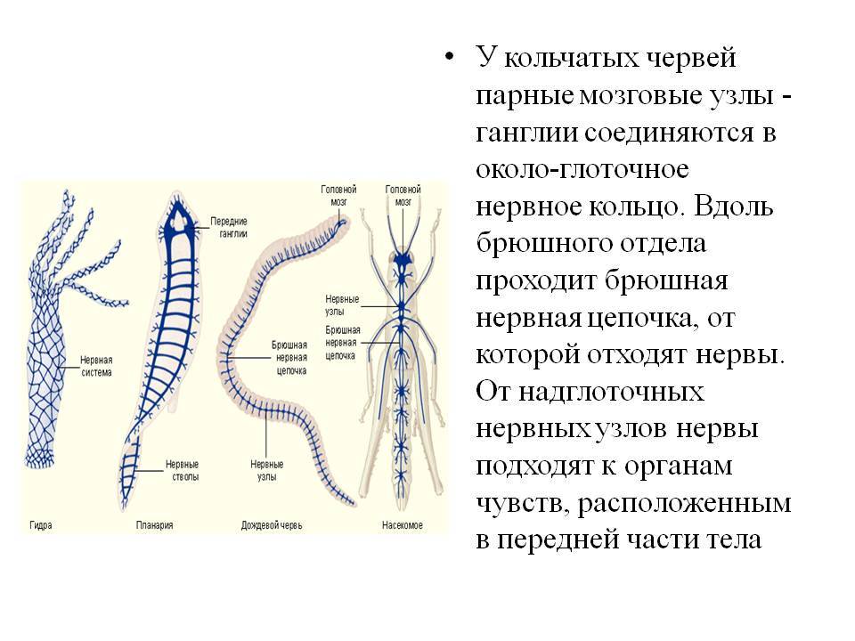 Кракен площадка